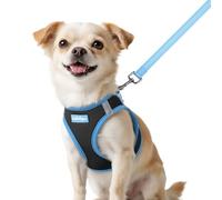 rabbitgoo Ensemble harnais et laisse pour chien de petite taille, harnais respirant pour animal domestique, gilet doux, réfléchissant pour petits chiens, noir et bleu clair, taille XXS