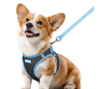 rabbitgoo Ensemble harnais et laisse pour chien de petite taille, harnais respirant pour animal domestique, gilet doux, réfléchissant pour petits chiens, noir et bleu clair, taille L