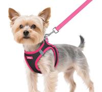 rabbitgoo Ensemble harnais et laisse pour chien de petite taille, harnais respirant pour animal domestique, gilet doux, réfléchissant pour petits chiens, noir et rose rouge, taille XS