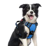 rabbitgoo Harnais anti-traction pour chien réglable avec 3 boucles, harnais rembourré doux pour animal domestique avec poignée de contrôle facile et bandes réfléchissantes, bleu, taille M
