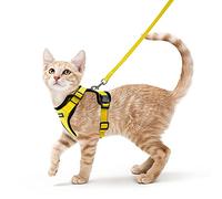 rabbitgoo Harnais Chat Petit Chien Laisse Harnais Chaton Réglable Jaune S Collier Harnai Chat Refléchissant Gilet Respirant pour Lapin, Chat Européen, Maine Coon, Persan, Attache Dessus avec Laisse