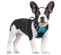 rabbitgoo Harnais Chien Anti Traction, Arnet pour Chien avec Poignée Contrôl, Facile à Mettre, Gilet Réfléchissant Réglable avec Attache Devant, Harnais pour Chien Petit Moyen et Grand, Bleu Paon, S