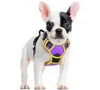 rabbitgoo Harnais Chien Anti Traction, Arnet pour Chiens avec Poignée Contrôl, Facile à Mettre, Gilet Réfléchissant Réglable avec Attache Devant, Harnais pour Chien Petit Moyen, Violet et Jaune, S