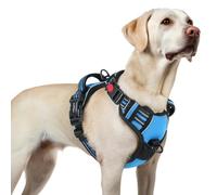 rabbitgoo Harnais Chien avec 3 Boucles, Facile à Mettre et à Enlever, Harnais Anti Traction pour Chien avec Poignée et Attache Devant, Réglable, Réfléchissant, Arnet pour Chiens Grand, Bleu Clair, L