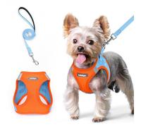 rabbitgoo Harnais Chien Petite Taille avec Laisse Réfléchissant, Harnais Chiot en Maille Souple, Gilet Réglable Facile à Mettre, Arnet pour Chien Petit et Moyen pour Marcher, Bleu Clair et Orange XS