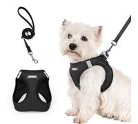 rabbitgoo Harnais Chien Petite Taille avec Laisse Réfléchissant, Harnais Chiot en Maille Souple, Gilet Réglable Facile à Mettre, Arnet pour Chien Petit et Moyen pour Marcher Courir, Noir S