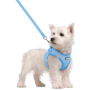 rabbitgoo Harnais Chien Petite Taille avec Laisse Réfléchissant, Harnais Chiot en Maille Souple, Gilet Réglable Facile à Mettre, Arnet pour Chien Petit et Moyen pour Marcher Courir, Bleu Clair S