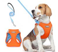 rabbitgoo Harnais Chien Petite Taille avec Laisse Réfléchissant, Harnais Chiot en Maille Souple, Gilet Réglable Facile à Mettre, Arnet pour Chien Petit et Moyen pour Marcher, Bleu Clair et Orange L