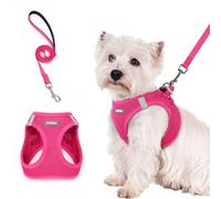 rabbitgoo Harnais Chien Petite Taille avec Laisse Réfléchissant, Harnais Chiot en Maille Souple, Gilet Réglable Facile à Mettre, Arnet pour Chien Petit et Moyen pour Marcher Courir, Rose Rouge S
