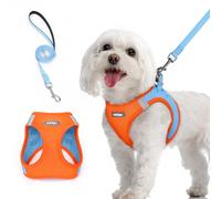 rabbitgoo Harnais Chien Petite Taille avec Laisse Réfléchissant, Harnais Chiot en Maille Souple, Gilet Réglable Facile à Mettre, Arnet pour Chien Petit et Moyen pour Marcher, Bleu Clair et Orange M