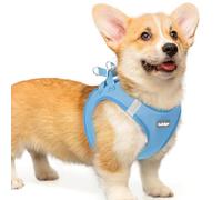 rabbitgoo Harnais Chien Petite Taille Bleu Clair L, Harnais Chiot Respirante en Maille Souple, Arnet pour Chien Réfléchissant Facile à Mettre, Gilet Réglable pour Petits et Moyens Chiens pour Marche