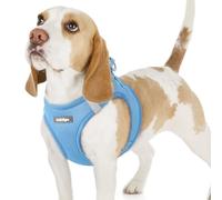 rabbitgoo Harnais Chien Petite Taille Bleu Clair M, Harnais Chiot Respirante en Maille Souple, Arnet pour Chien Réfléchissant Facile à Mettre, Gilet Réglable pour Petits et Moyens Chiens pour Marche