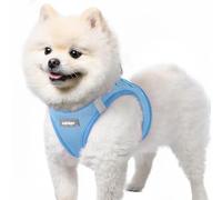 rabbitgoo Harnais Chien Petite Taille Bleu Clair S, Harnais Chiot Respirante en Maille Souple, Arnet pour Chien Réfléchissant Facile à Mettre, Gilet Réglable pour Petits et Moyens Chiens pour Marche