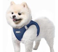 rabbitgoo Harnais Chien Petite Taille Bleu Foncé S, Harnais Chiot Respirante en Maille Souple, Arnet pour Chien Réfléchissant Facile à Mettre, Gilet Réglable pour Petits et Moyens Chiens pour Marche