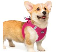 rabbitgoo Harnais Chien Petite Taille Rose Rouge L, Harnais Chiot Respirante en Maille Souple, Arnet pour Chien Réfléchissant Facile à Mettre, Gilet Réglable pour Petits et Moyens Chiens pour Marche