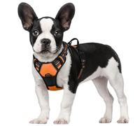 rabbitgoo Harnais Chien S Arnais Orange Anti Traction Réfléchissant Gilet Réglable pour Chien, Attache Devant Crochet de Laisse pour Randonnée Trajet Voiture, Bouledogue Français, Berger Australien