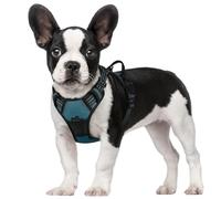 rabbitgoo Harnais Chien S Arnais Vert Foncé Anti Traction Réfléchissant Gilet Réglable pour Chien, Attache Devant Crochet de Laisse pour Randonné Trajet Voiture, Bouledogue Français, Berger Australien
