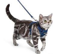 rabbitgoo Harnais pour Chat avec Laisse, Boucle de Cou, Bleu Marine, S | Anti Fugue, Sans Passage par Tête, 3 Régulateurs de Sangle Verrouillables, Maille Douce, Réfléchissant, pour Chat Petit Moyen