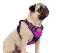 rabbitgoo Harnais pour chien de petite taille, anti-traction avec 3 boucles, harnais rembourré doux réglable avec poignée de contrôle facile et bandes réfléchissantes, violet, taille S