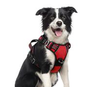 rabbitgoo Harnais pour chien de taille moyenne, anti-traction avec 3 boucles, harnais rembourré doux réglable avec poignée de contrôle facile et bandes réfléchissantes, rouge, taille M