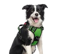 rabbitgoo Harnais pour chien de taille moyenne, harnais anti-traction pour chien avec 3 boucles, harnais rembourré doux réglable avec poignée de contrôle facile et bandes réfléchissantes, vert, taille