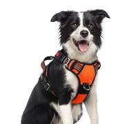 rabbitgoo Harnais pour chien de taille moyenne, harnais anti-traction pour chien avec 3 boucles, harnais rembourré doux réglable avec poignée de contrôle facile et bandes réfléchissantes, orange,