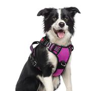 rabbitgoo Harnais pour chien de taille moyenne, harnais anti-traction pour chien avec 3 boucles, harnais rembourré doux réglable avec poignée de contrôle facile et bandes réfléchissantes, violet,