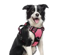 rabbitgoo Harnais pour chien Rose Taille M