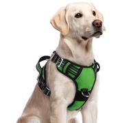 rabbitgoo Harnais pour chiens de grande taille, gilet anti-traction pour chien avec 3 boucles, harnais rembourré doux réglable avec poignée de contrôle facile et bandes réfléchissantes, vert, taille L