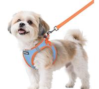 rabbitgoo Harnais pour petit chien, bleu clair et orange, S