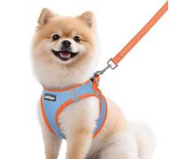 rabbitgoo Harnais pour petit chien, bleu clair et orange, taille M