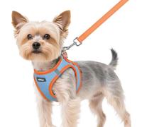 rabbitgoo Harnais pour petit chien, bleu clair et orange, XS