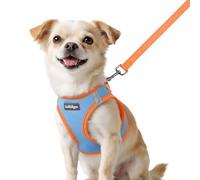 rabbitgoo Harnais pour petit chien, bleu clair et orange, XXS
