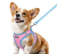 rabbitgoo Harnais pour Petit Chien Rose & Bleu Clair L