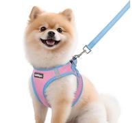 rabbitgoo Harnais pour Petit Chien Rose & Bleu Clair M