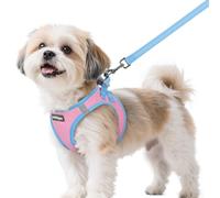 rabbitgoo Harnais pour Petit Chien Rose & Bleu Clair S