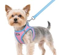 rabbitgoo Harnais pour petit chien, rose et bleu clair, XS