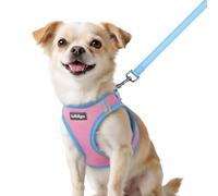 rabbitgoo Harnais pour petit chien, rose et bleu clair, XXS