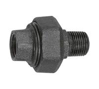 RIEGLER Riegler Raccord 331, joint plat, R 1 1/2, Rp 1 1/2, acier trempé noir Quantité:1