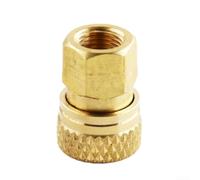 Raccord de tuyau M10 femelle à déconnexion rapide 8 mm pour applications de gaz haute pression avec double anneau d'étanchéité et construction en laiton (fil intérieur femelle)