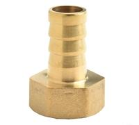 Raccord en laiton pour filetage femelle BSP avec queue barbelée, raccord de 1,9 cm pour des connexions de tuyaux faciles (16 mm)