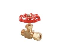 Raccord union à compression mâle M12-M22 1/8", 1/4", 3/8", 1/2" BSP x 6, 8, 10, 12 mm, coude droit en laiton, vanne à aiguille, régulateur de débit(Straight M20 BSPx1.5x14mm)