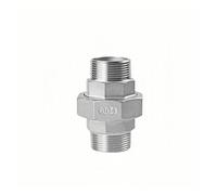 Raccord union en acier inoxydable 304, filetage femelle/mâle 1/4", 3/8", 1/2", 3/4", 1" B/SP, raccord de tuyau moulé, connecteur en T à 3 voies(I type Male to Male,G2.5 BSP)