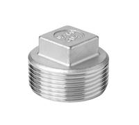 Raccords de raccordement de tuyaux à embout hexagonal droit mâle en acier inoxydable fileté 1/2", 1/8", 1/4", 3/8".(Male Female cap,304_DN10)