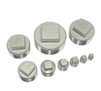 Raccords de tuyauterie à tête carrée en acier inoxydable 304, 1/8, 1/4, 3/8, 1/2, 3/4, 1, 1-1/4, 1-1/2, 2 pouces, 1 pièce(1/4")