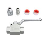 Raccords Rapides en Acier Inoxydable 4500 PSI Accessoires de Tuyau pour Un Nettoyage Efficace Kit de soupape à Bille de laveuse à Pression (3/8)