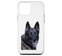 Race de Berger Allemand Coque pour iPhone 12 Mini