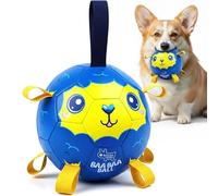 Race&Herd 19 cm Ballon de Football Joyeux pour Chiens - Jouet de Balle pour Chien Robuste et Durable avec Sangle, Boules de Troupeau Flottantes pour Chiens, Ballons de Chien Flottants avec Étiquettes