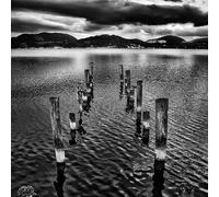 Race, Hugo & Maroccolo, Gianni - The Vigil [Import]