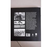 Les races bretonnes, une histoire bien vivante